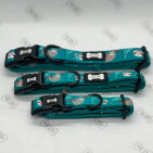SLOCS1